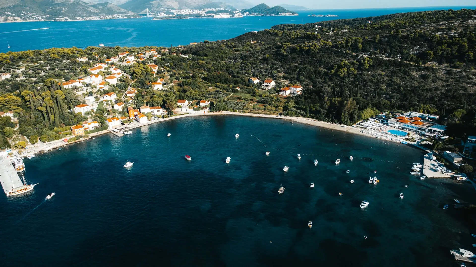 aerial view of a bay with boats and houses