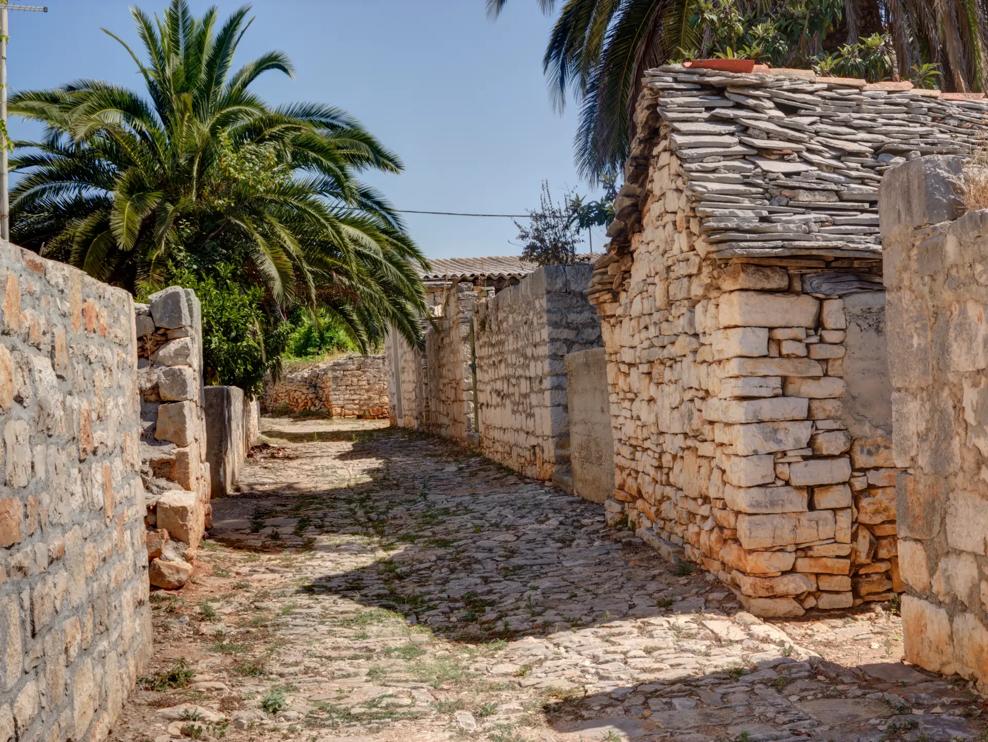 old stone houses and a palm tree
