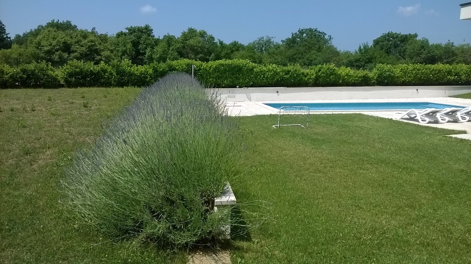 Villa Dora