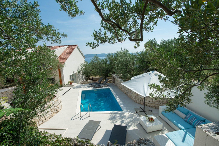 Villa Olive Tree