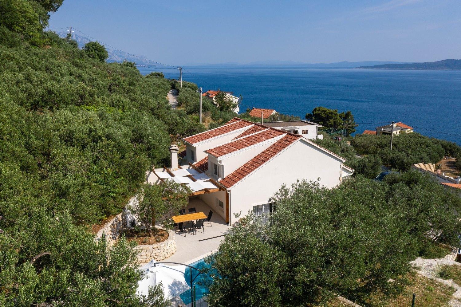 Villa Olive Tree