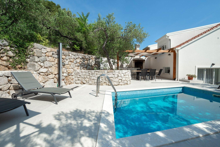 Villa Olive Tree