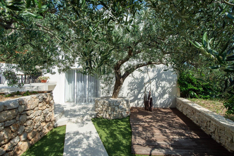 Villa Olive Tree