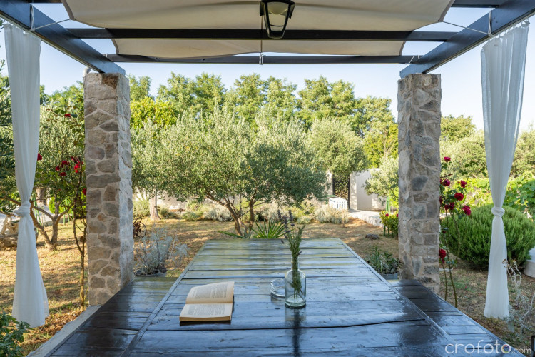 Villa Grandfather's House