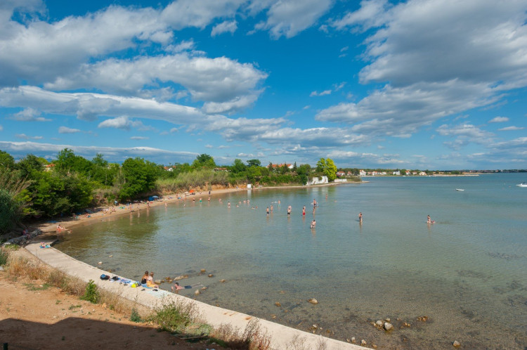 Villa Orchid & Palme