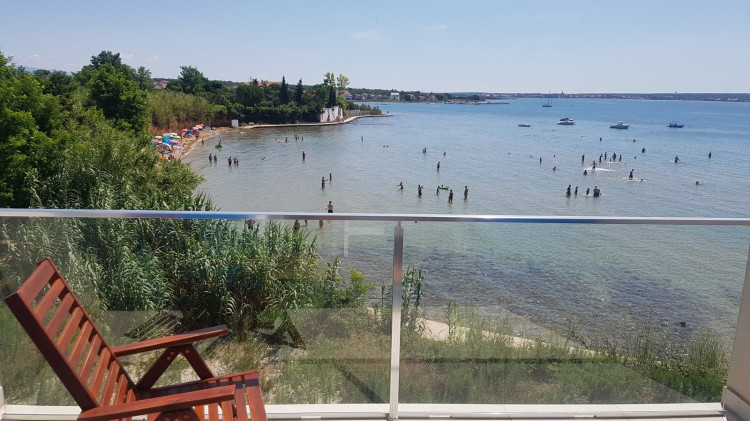 Villa Orchid & Palme